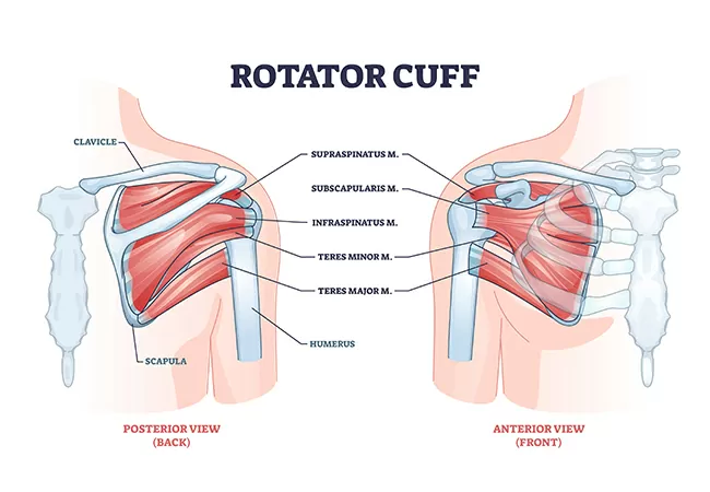 How Physical Therapy Can Help with Rotator Cuff Injuries