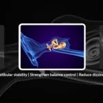 What Inner Ear Problems Mean for Your Balance